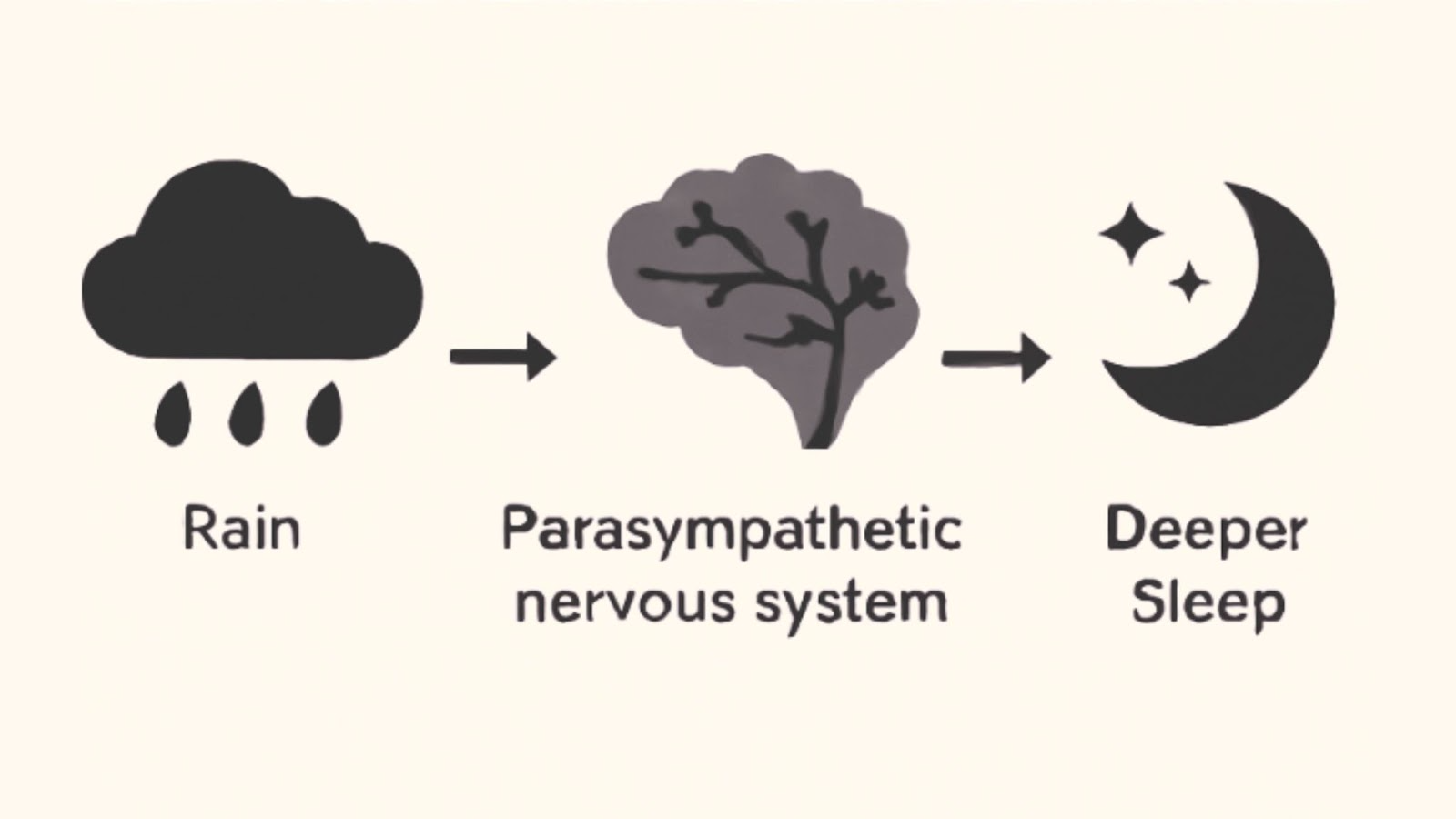 Illustration showing the connection between rain, the parasympathetic nervous system, and deeper sleep, with icons representing each stage.
